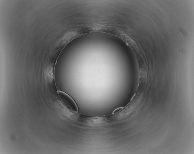 X0000115830479200911131509