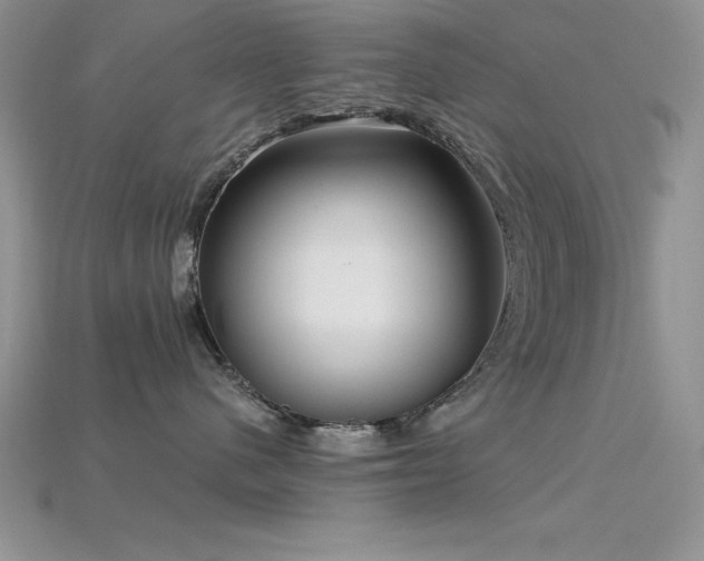 X0000115830480200911131509