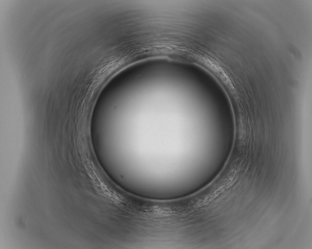 X0000115830481200911131509