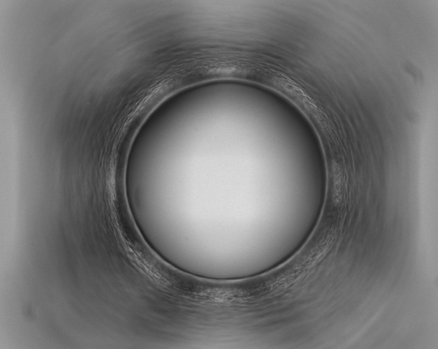 X0000115830482200911131508