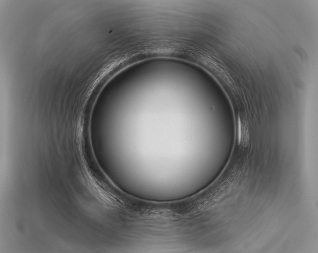 X0000115830483200911131508