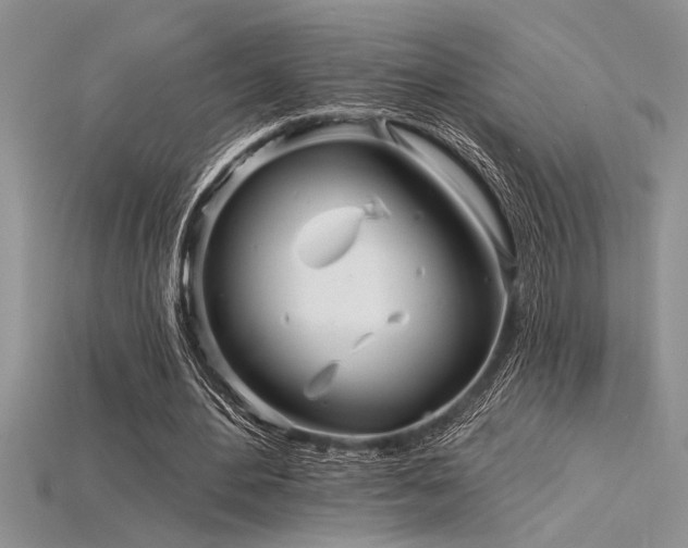 X0000115830484200911131508