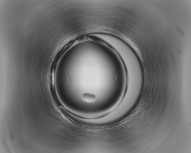 X0000115830485200911131508