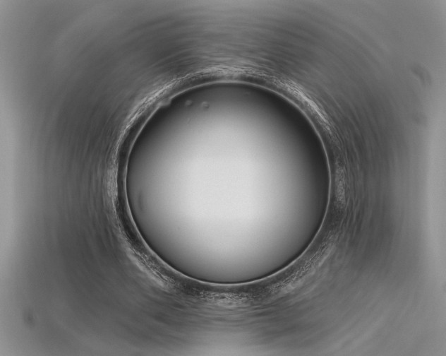 X0000115830486200911131508