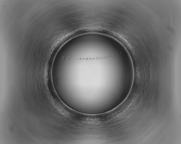 X0000115830487200911131508