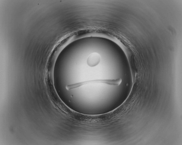 X0000115830488200911131508