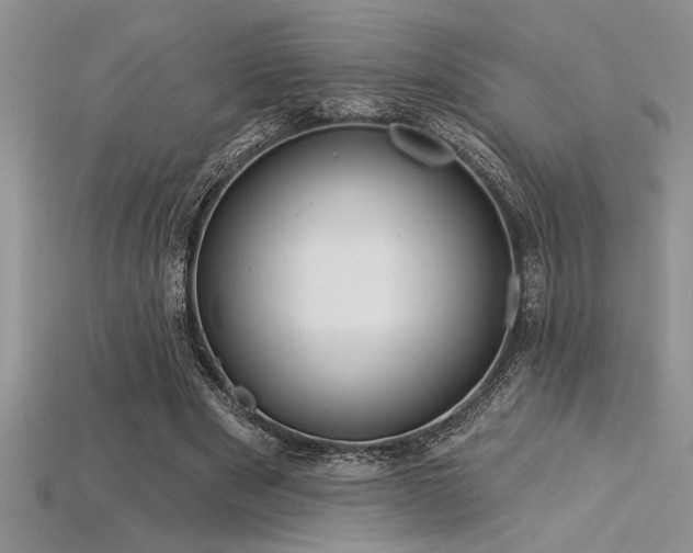 X0000115830489200911131508