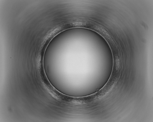 X0000115830490200911131508