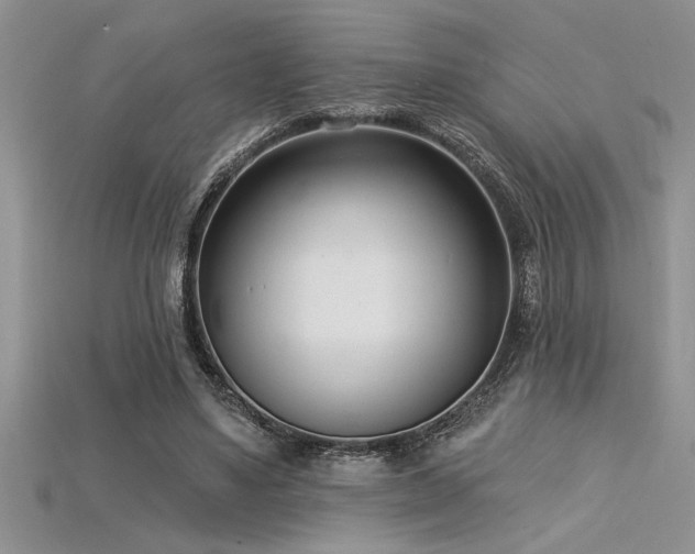 X0000115830491200911131508