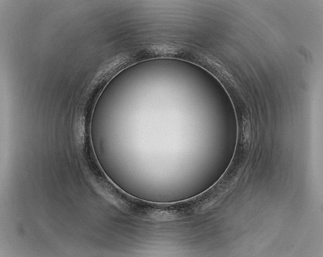 X0000115830494200911131508