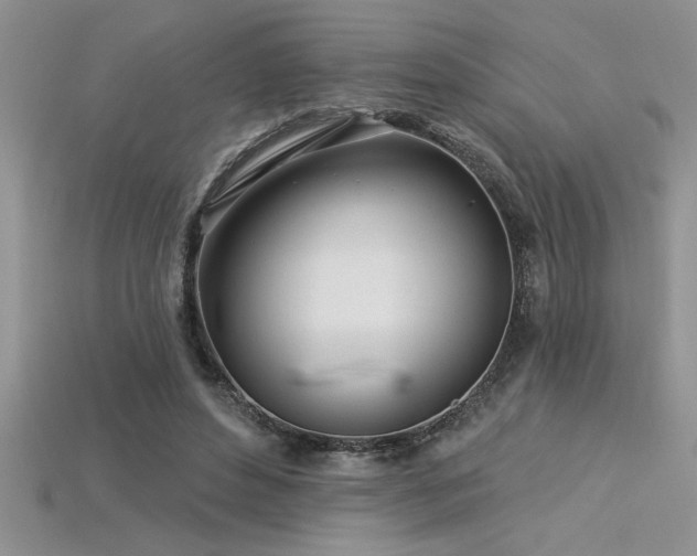 X0000115830496200911131508