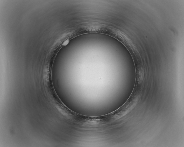 X0000115830497200911131508