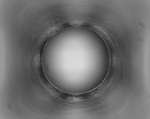 X0000115830498200911131508