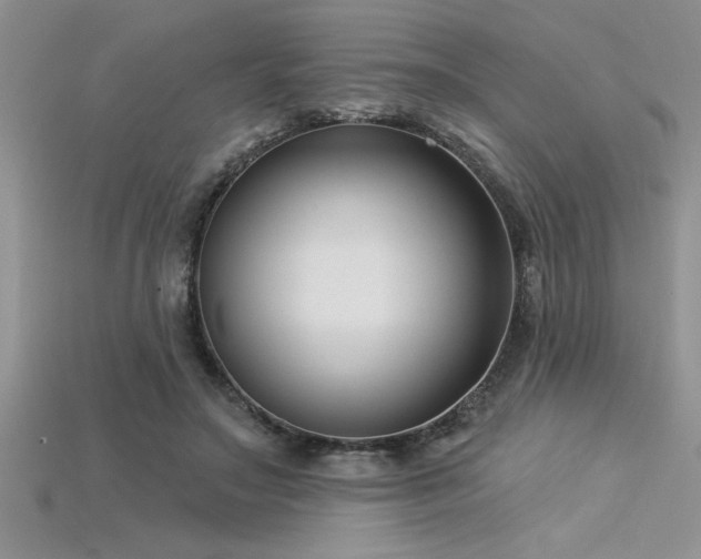 X0000115830499200911131508