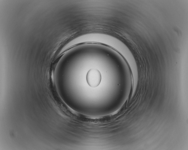 X0000115830500200911131508