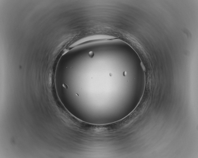 X0000115830501200911131508