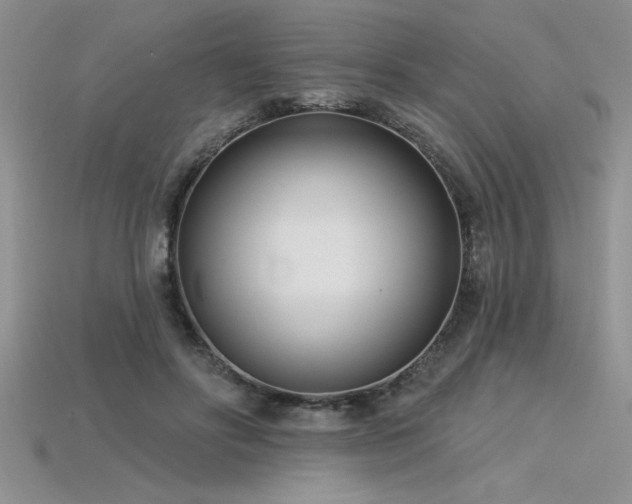 X0000115830502200911131508