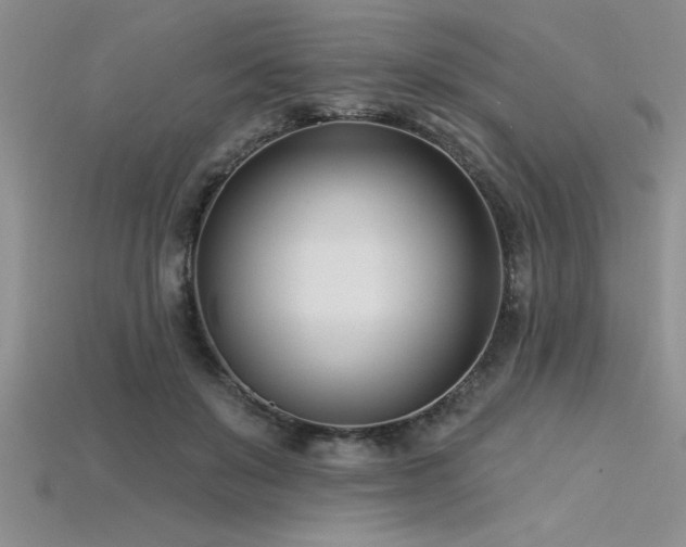 X0000115830503200911131508