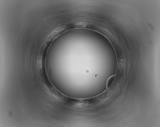 X0000115830504200911131508