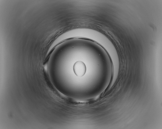 X0000115830505200911131508