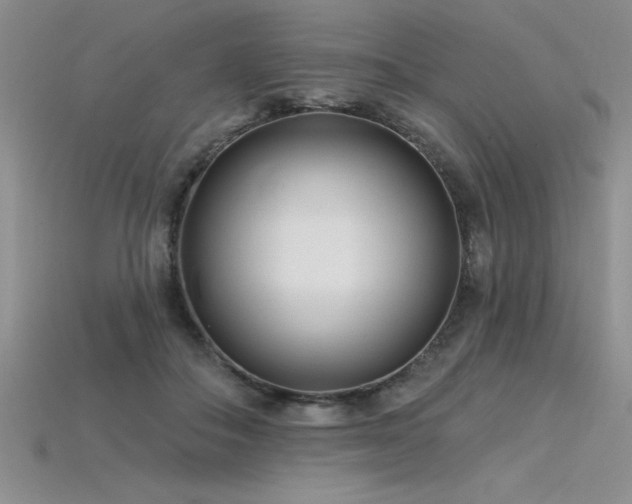 X0000115830506200911131508