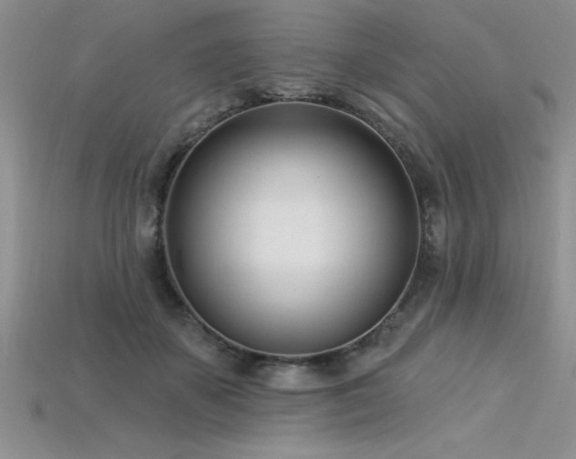 X0000115830507200911131508