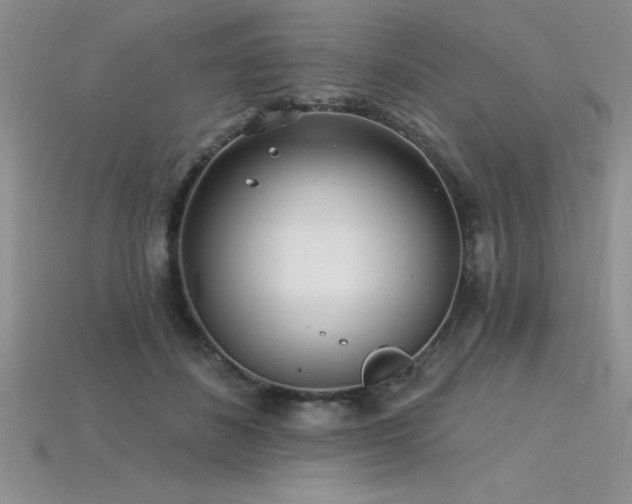 X0000115830508200911131508