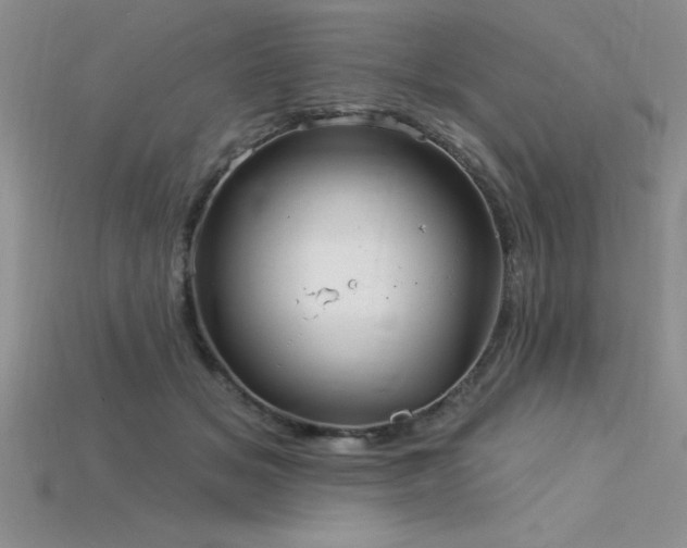 X0000115830509200911131508