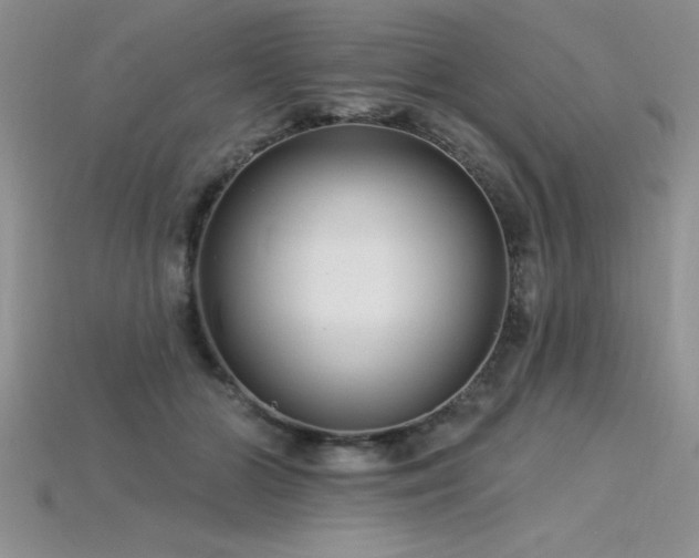 X0000115830510200911131508