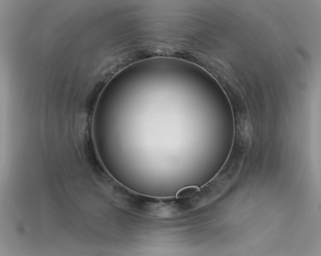 X0000115830511200911131508