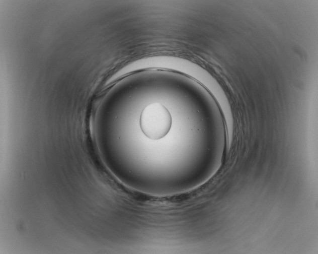 X0000115830512200911131508