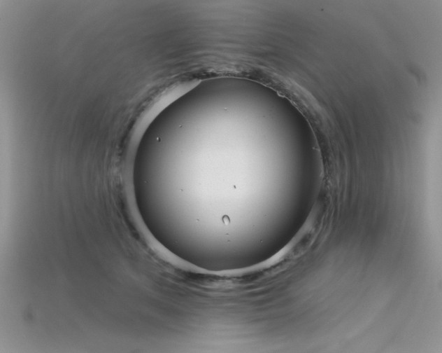 X0000115830513200911131508