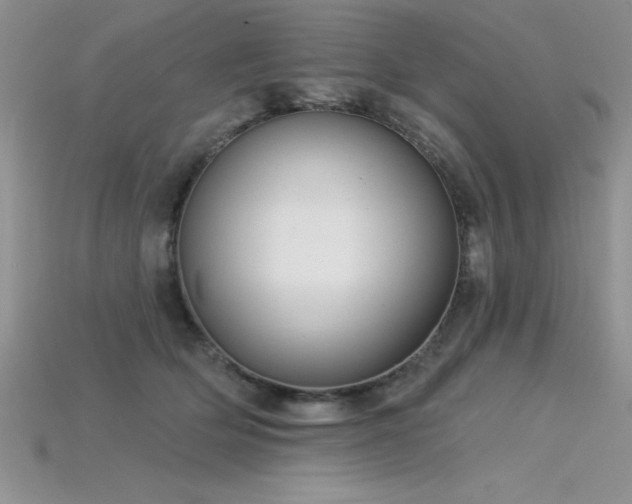 X0000115830514200911131508