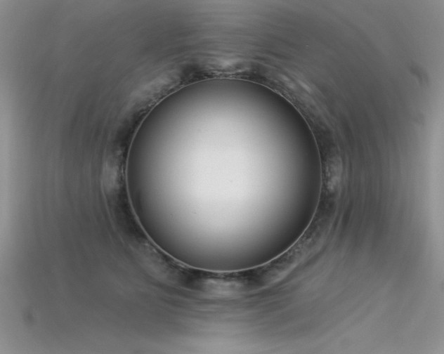 X0000115830515200911131508