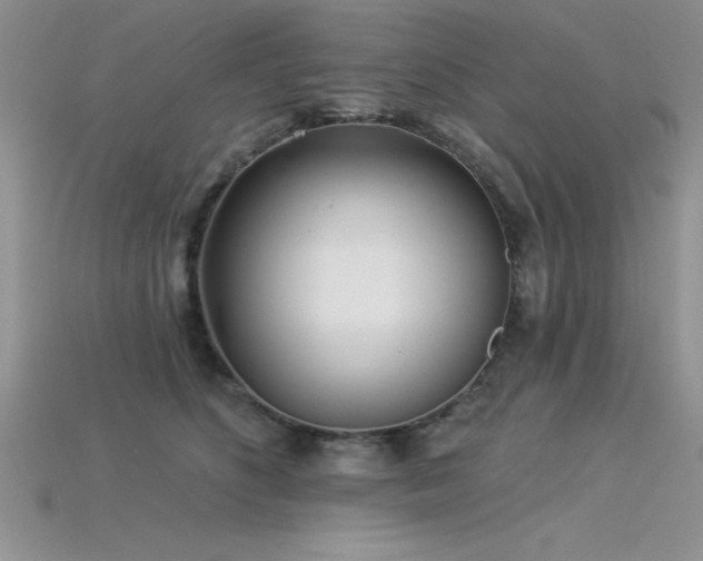 X0000115830516200911131508