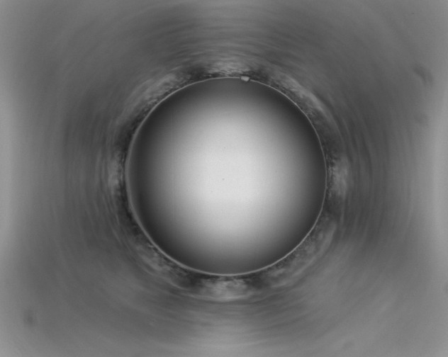 X0000115830517200911131508