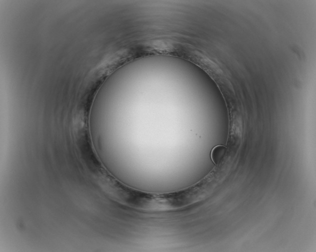 X0000115830518200911131508