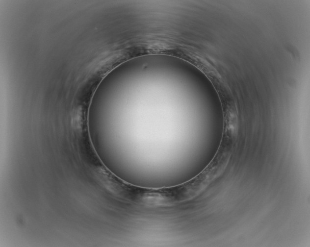 X0000115830519200911131508