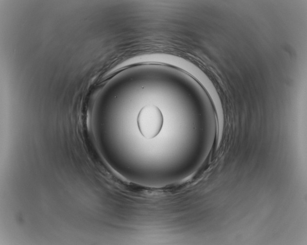 X0000115830520200911131508