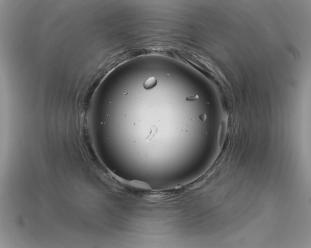 X0000115830521200911131508