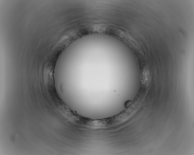 X0000115830522200911131508