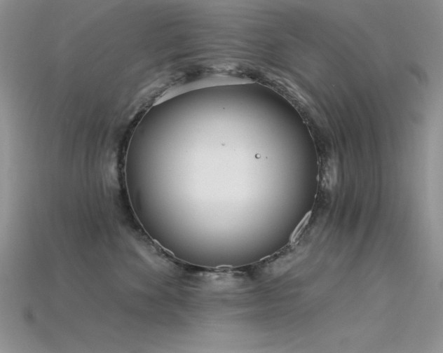 X0000115830524200911131508