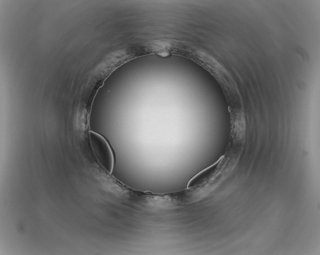 X0000115830525200911131508