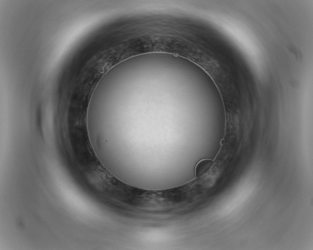 X0000115830526200911131508