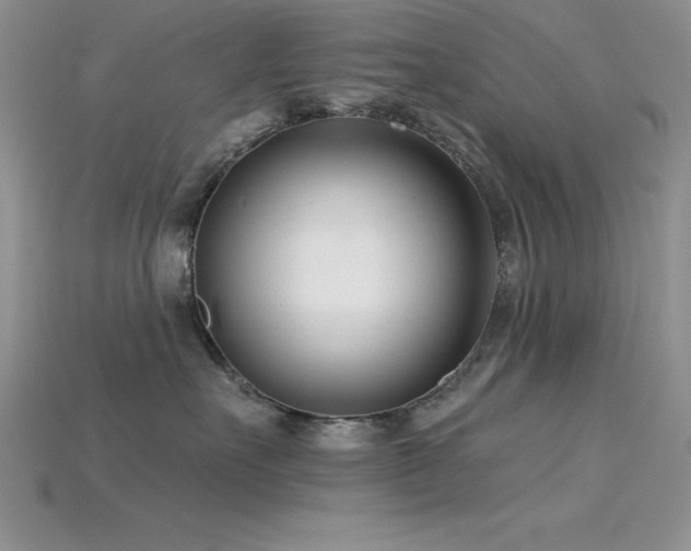 X0000115830527200911131508