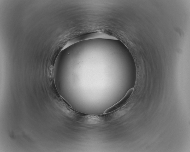 X0000115830528200911131508