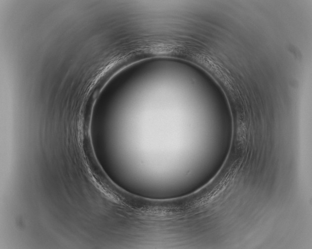 X0000115830530200911131507