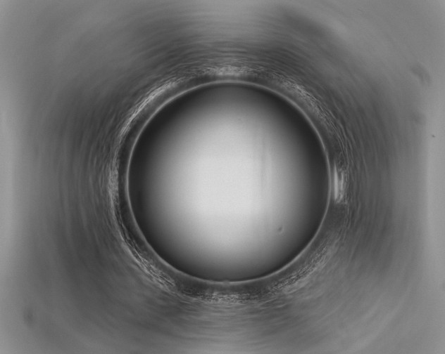 X0000115830531200911131507