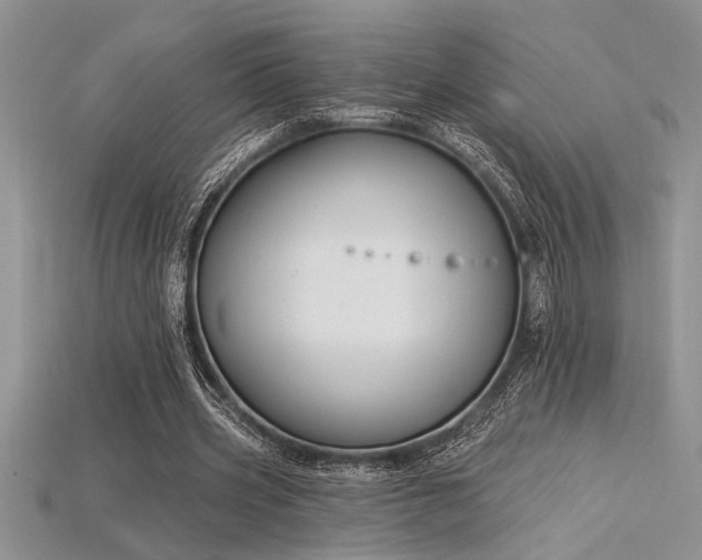 X0000115830533200911131507