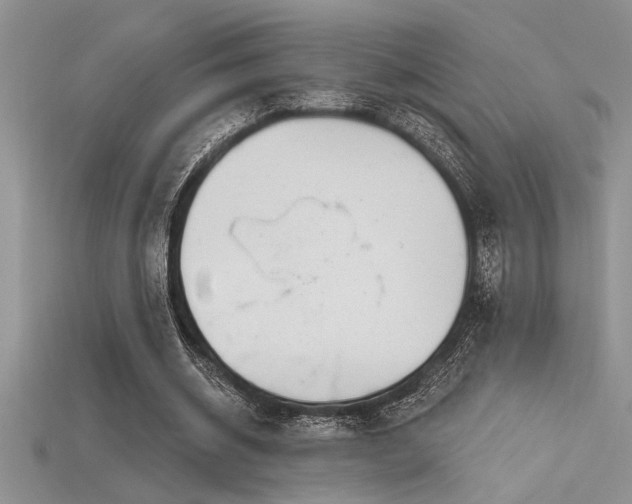 X0000115830534200911131507